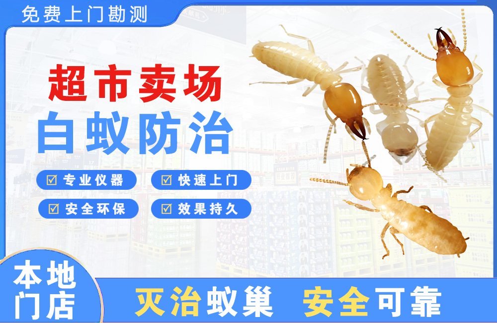 沭阳超市卖场白蚁防治