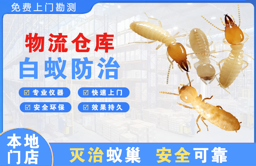 沭阳物流仓库白蚁防治