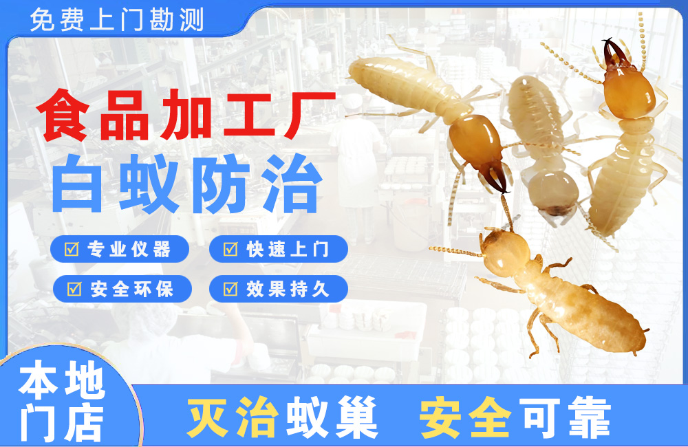 沭阳食品加工厂白蚁防治