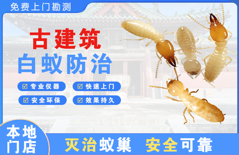 沭阳古建筑白蚁防治