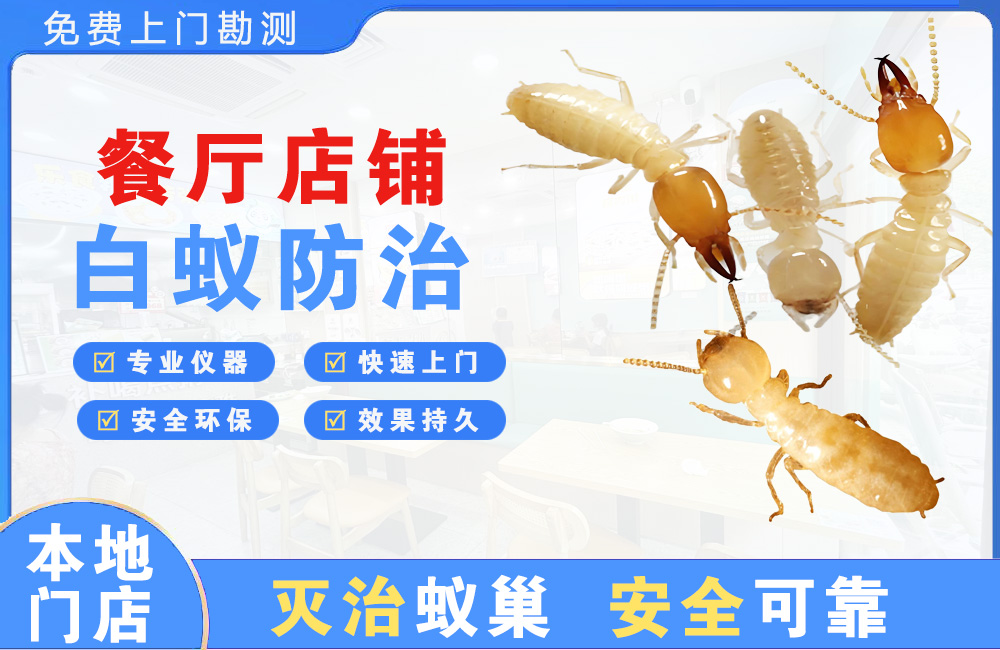 沭阳餐厅店铺白蚁防治